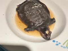 甲鱼-呷湘厨·鱼汤捞饭·剁椒鱼头·辣椒炒肉(国家会展中心店)
