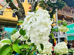 -上海久光百货