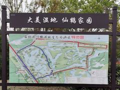 -盐城丹顶鹤湿地生态旅游区