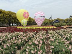 -广东花都香草世界旅游度假区