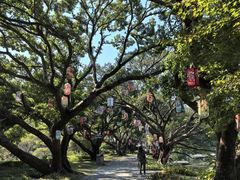 -江心屿景区