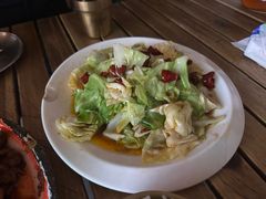 -柴窝堡22号辣子鸡·传承新疆菜