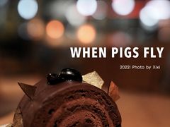 -WHEN PIGS FLY当猪飞