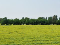 -汤阴县羑里周易博物馆