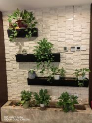 -青青一生美皮肤管理