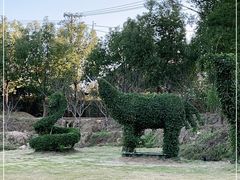 -泉州海丝野生动物世界