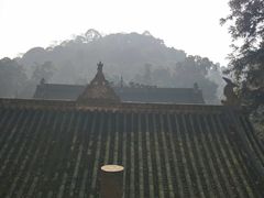 -凤栖山