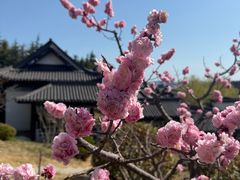 -威海华夏城景区