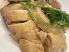 白斩鸡-振鼎鸡(华阴路店)