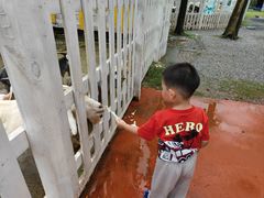 -前小桔亲子创意农场·草莓采摘·露营烧烤