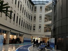 -首都医科大学附属北京天坛医院
