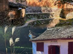 -杨家堂村
