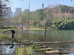 -重庆彩云湖湿地公园