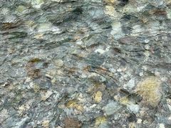 -虹口漂流