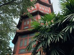 -房湖公园