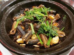 啫啫黄鳝煲-锦上中式酒馆(南内环店)