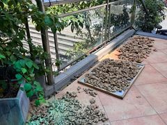 -左悦·艾灸调理·推拿按摩·精油SPA(卓悦汇店)