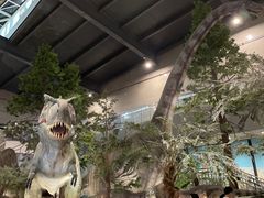 -湖南省地质博物馆