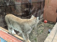 -青藏高原野生动物园