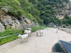 -白草畔自然风景区