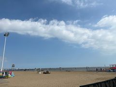 -碧海金沙