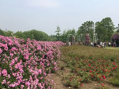 -尚贤河湿地