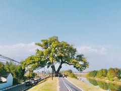 -乌龙涧铁道铁轨景