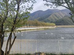 -大九湖