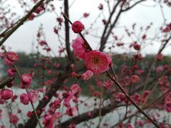 -食膳公园包子铺(烈士公园店)