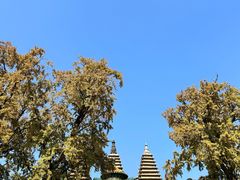 -北京石刻艺术博物馆(五塔寺)
