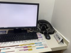 -艾贝尔宠物医院·24H转诊中心·肿瘤猫专科(江宁双龙店)