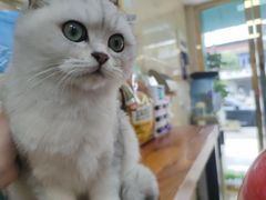 -仁华宠物医院(青羊店)