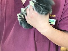-雨林宠物医院 非犬猫异宠专科