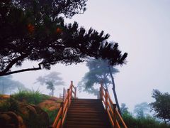 -沂蒙山旅游区云蒙景区(蒙山国家森林公园)