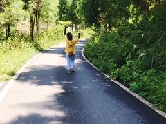 -西岭雪山大飞水景区