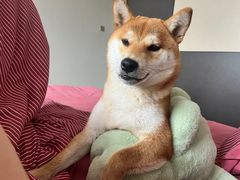 -阿水大杯茶(曲成巷店)