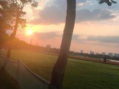 -海珠湖公园