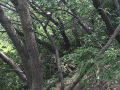 -青州市云门山风景区