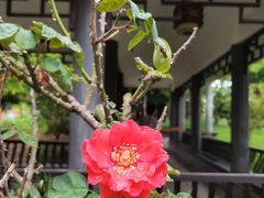 -映月湖公园