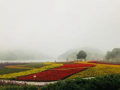 -广州市石门国家森林公园