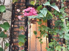 -西关84·History·Art·Cafe