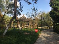 -瀛洲公园