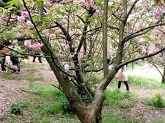 android_upload_pic-石峰公园