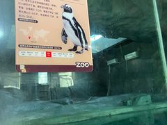 -武汉动物园