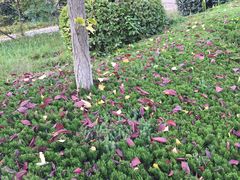 -长安大学(北校区)