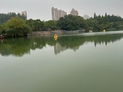 -青枫公园