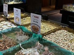 -紫阳海鲜楼·传承闽味(长乐路总店)
