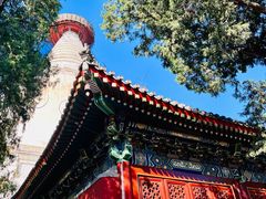 -妙应寺白塔