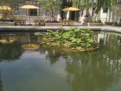 -百花洲