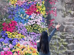 -沂蒙云瀑洞天景区